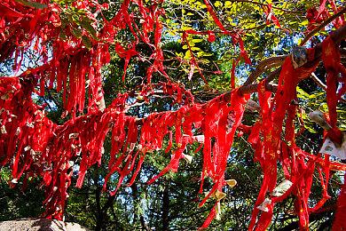 这代缺的永劫牌在这？永劫无间联动《P5R》官宣！